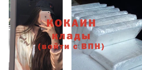 сатива Дмитриев