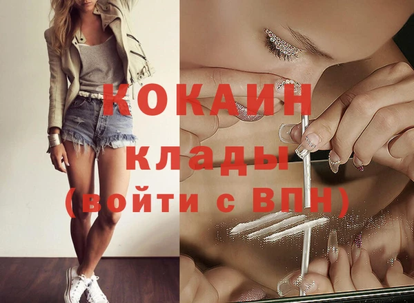 сатива Дмитриев