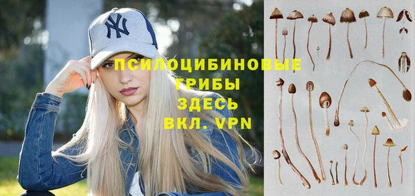 прущая мука Дмитровск