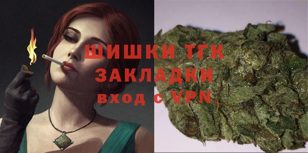 сатива Дмитриев