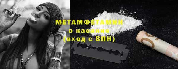 сатива Дмитриев