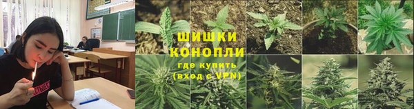сатива Дмитриев