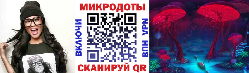 Купить закладки  Демидов  Галлюциногенные грибы Magic Shrooms 