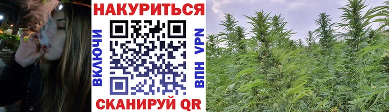 Купить где  Демидов  Бошки Шишки OG Kush 